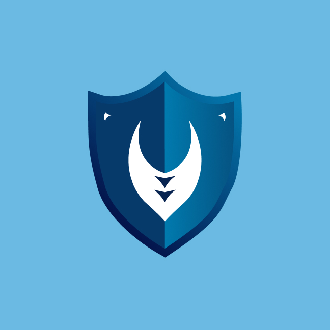 Phoenix Cybersecurity technology cybersecurity logo design